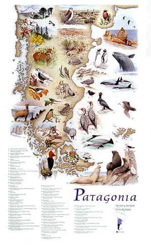 Patagonia Poster
